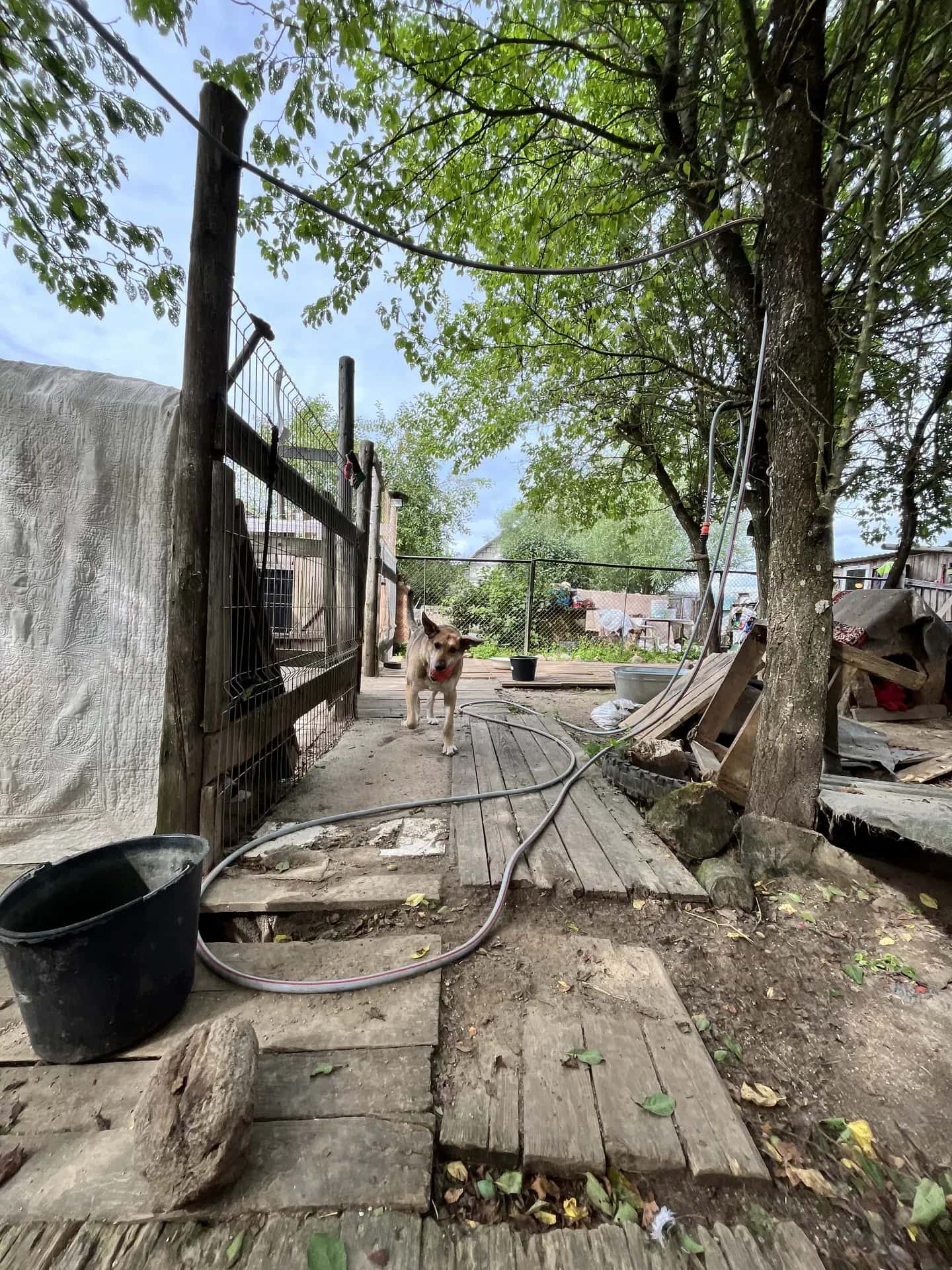 уборка в приюте с Бимур